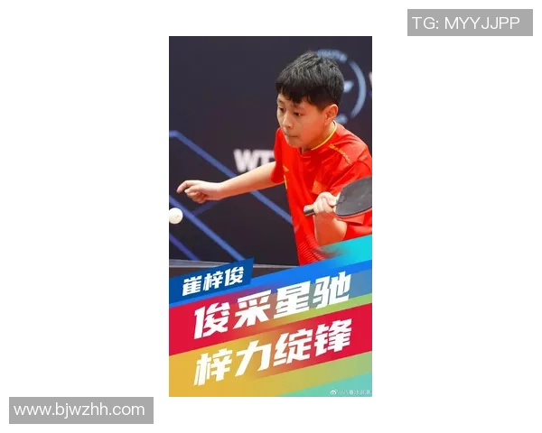 乒乓球比赛经验排行榜揭晓北京乒乓球队荣获第八名佳绩